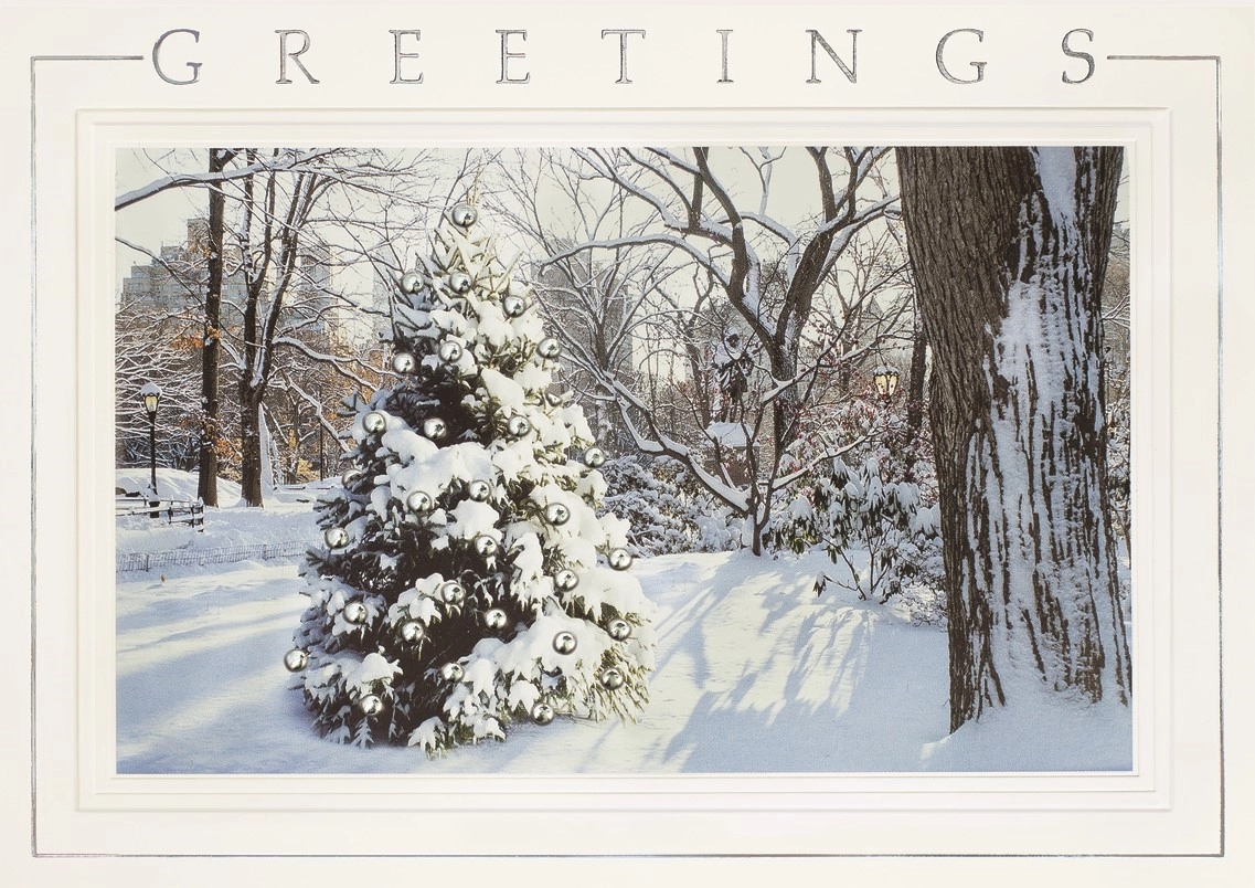 Hidden Treasure Holiday Cards 2