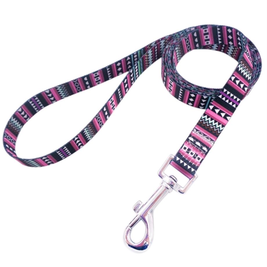 Dye-Sublimation Dog Leash with Adjustable Collar & Carabiner 3