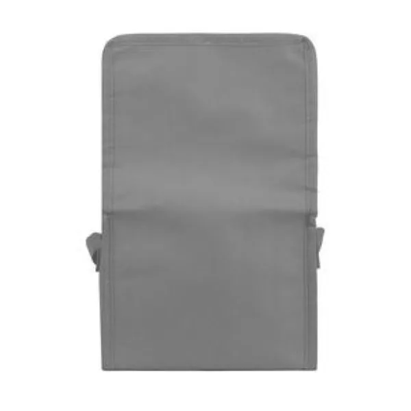 Springs 6-Pack Insulated Cooler Bag 14