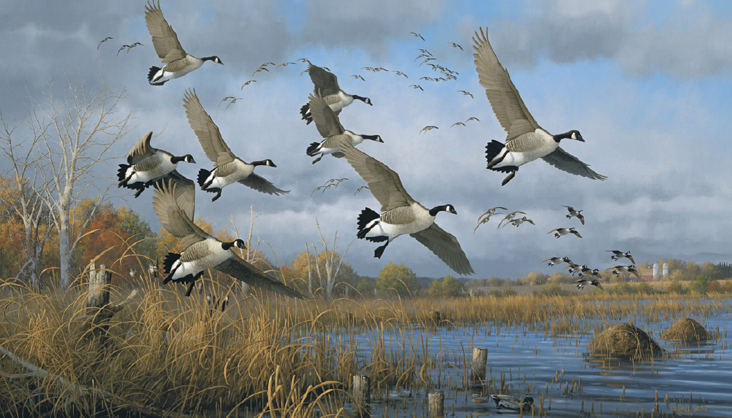 Triumph® Calendars North American Waterfowl Calendar 16