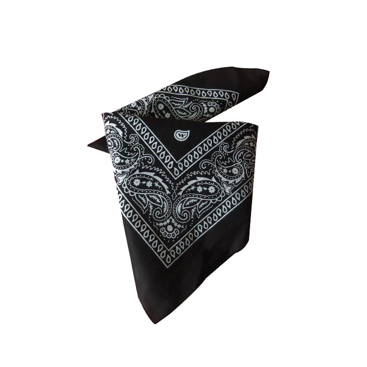 100 % Polyester Pet Triangle Belt 3