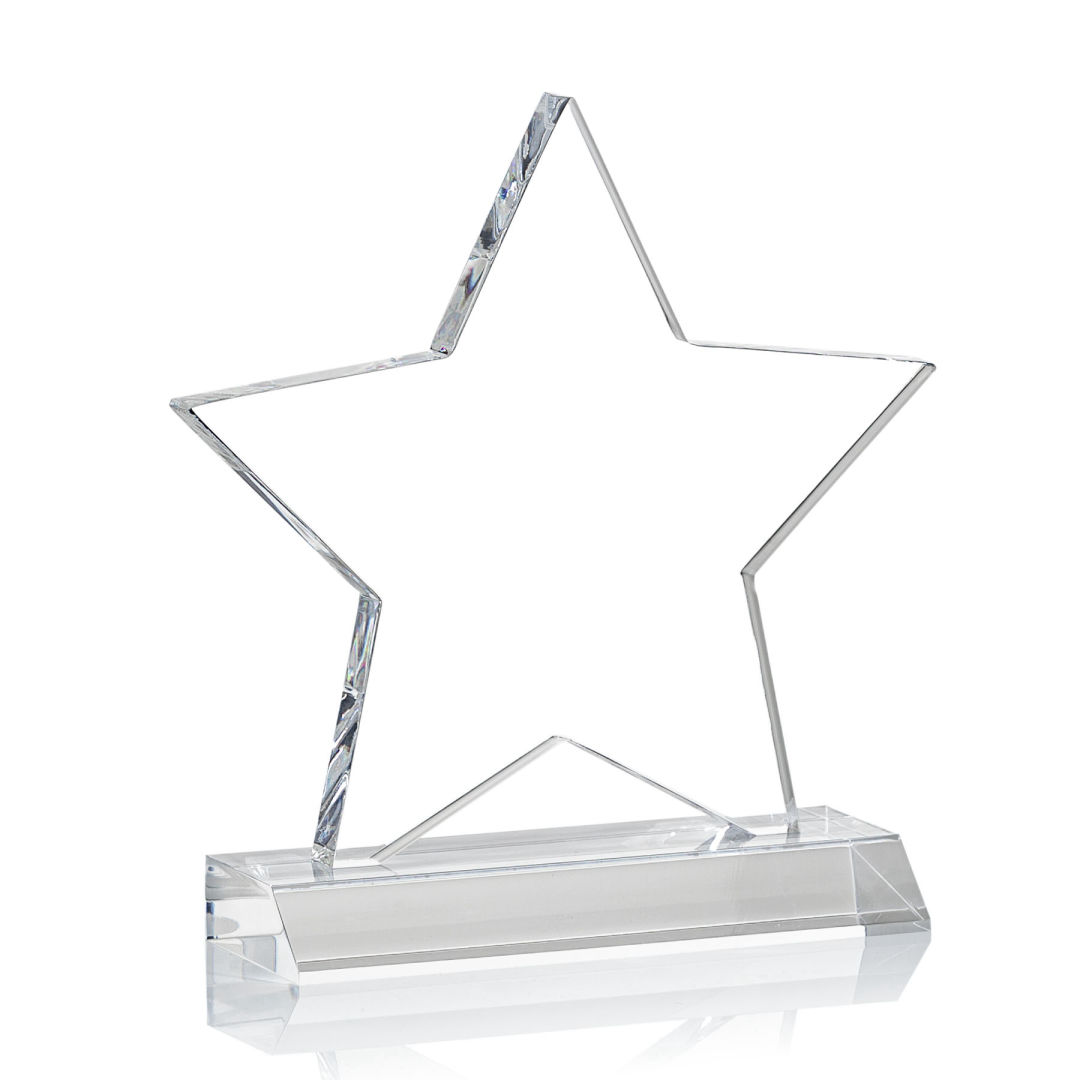 Nelson Star Award 4
