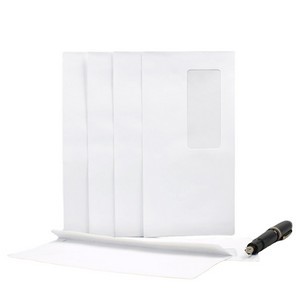 White Windowed Paper Envelope 6