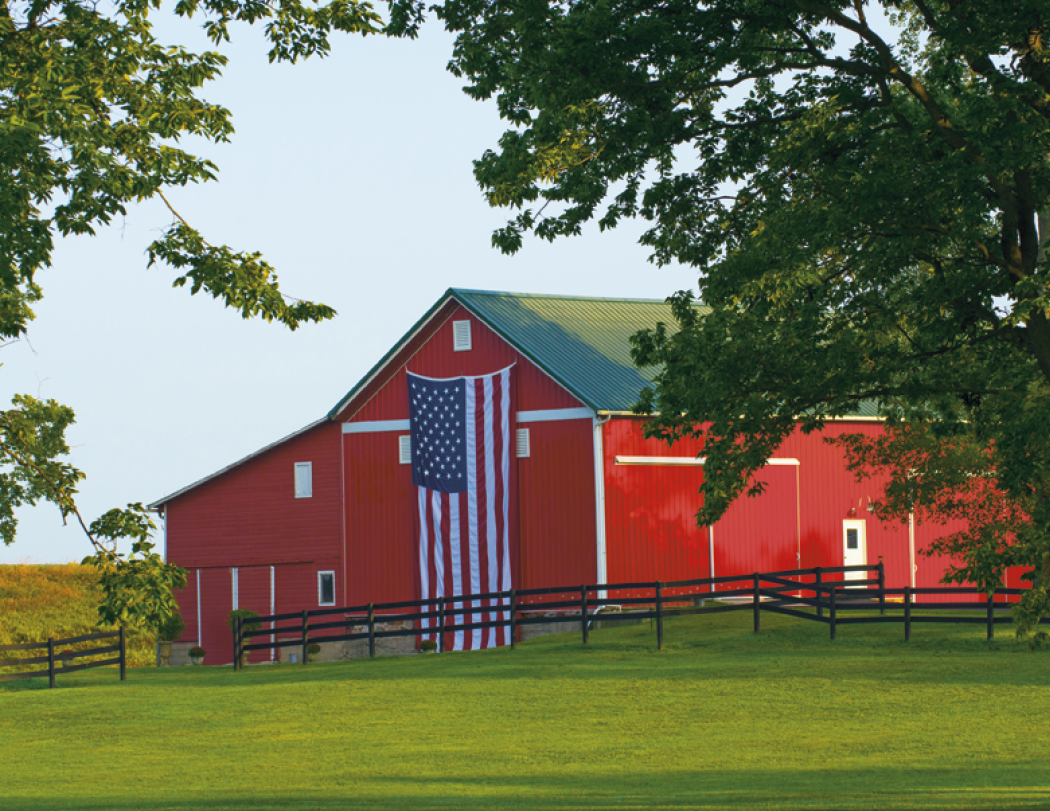 Good Value™ Celebrate America - Spiral Calendar 53