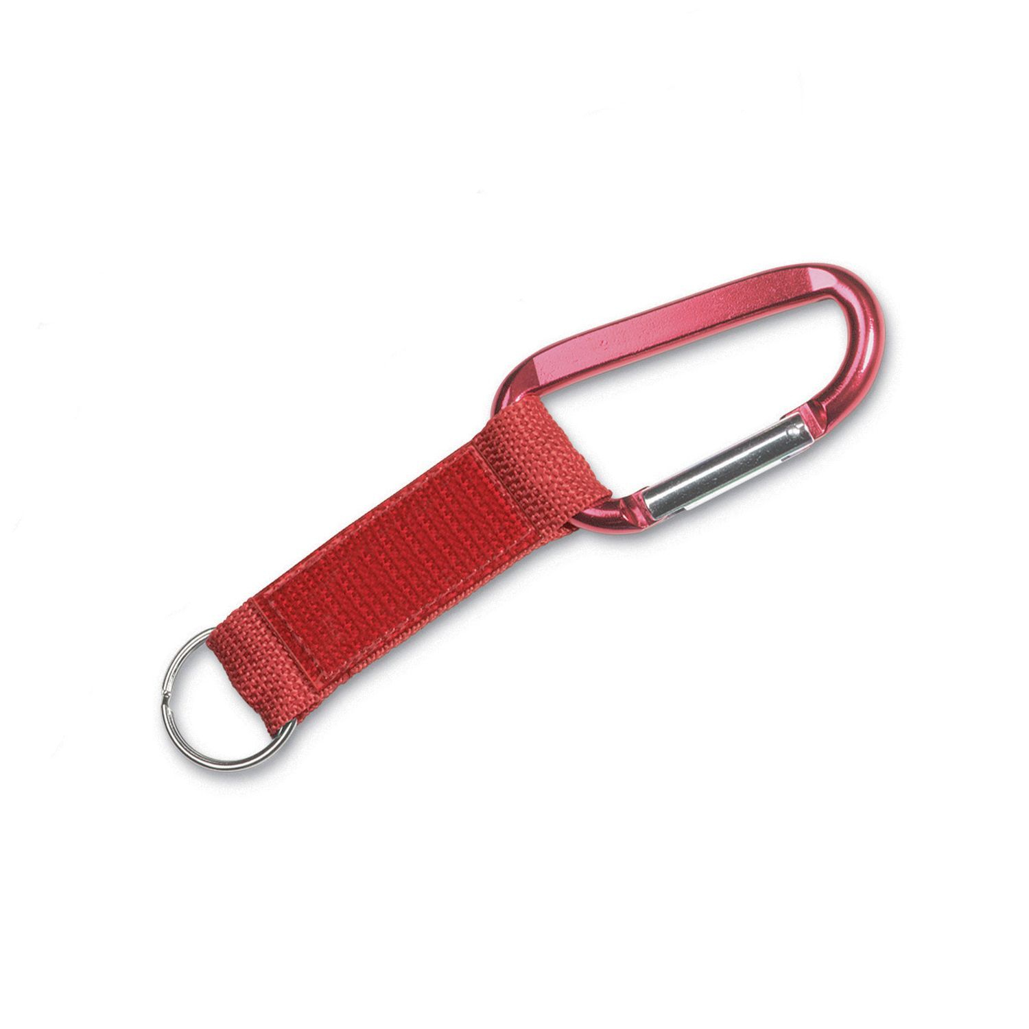 Steel Carabiner Key Tag 4