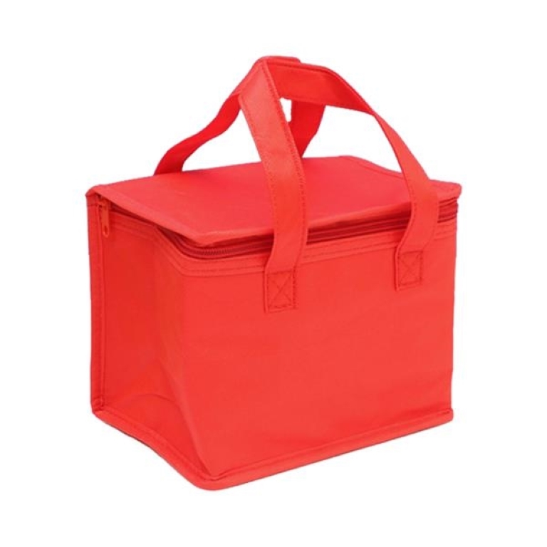 Non-woven Nsulation Bag 3