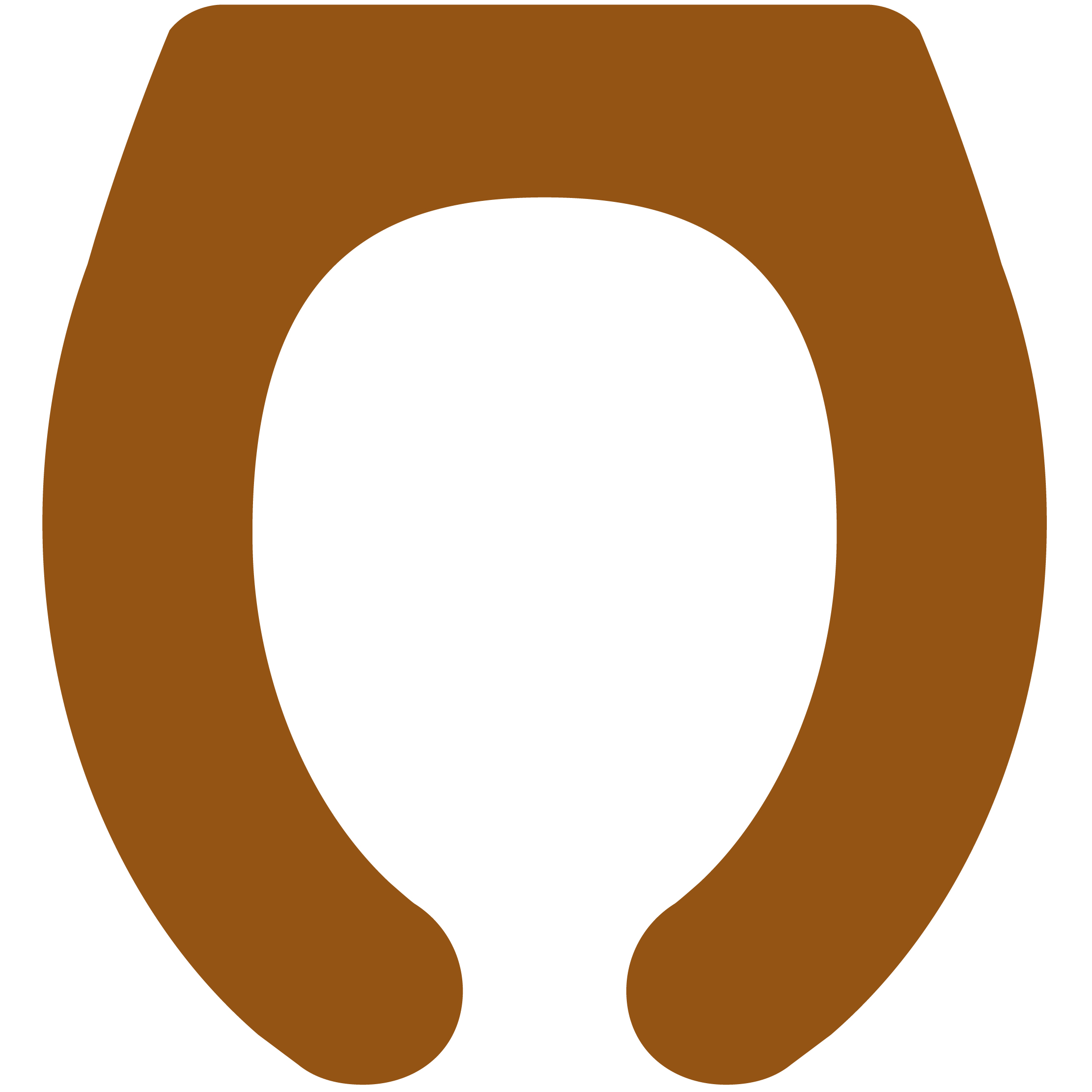 Toilet Seat 10