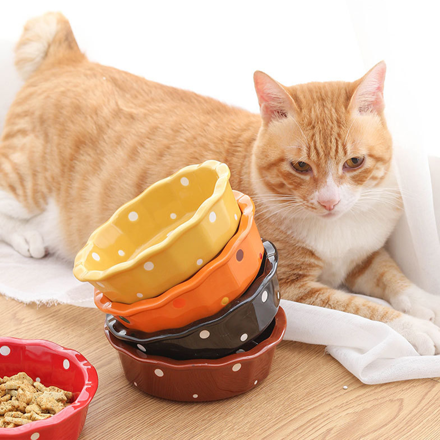 Ceramic Cervical Protection Cat Food Bowl 11