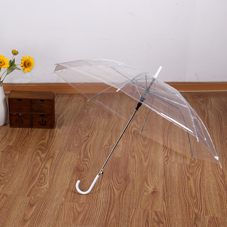 Clear Umbrella 1