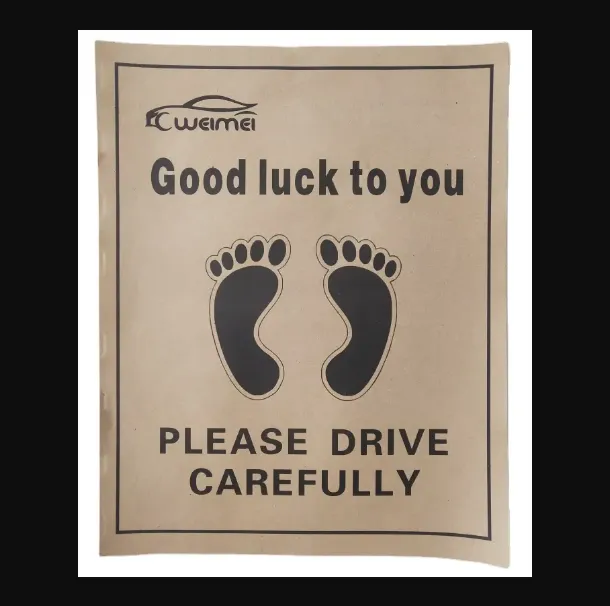 Disposable Car Mats 2