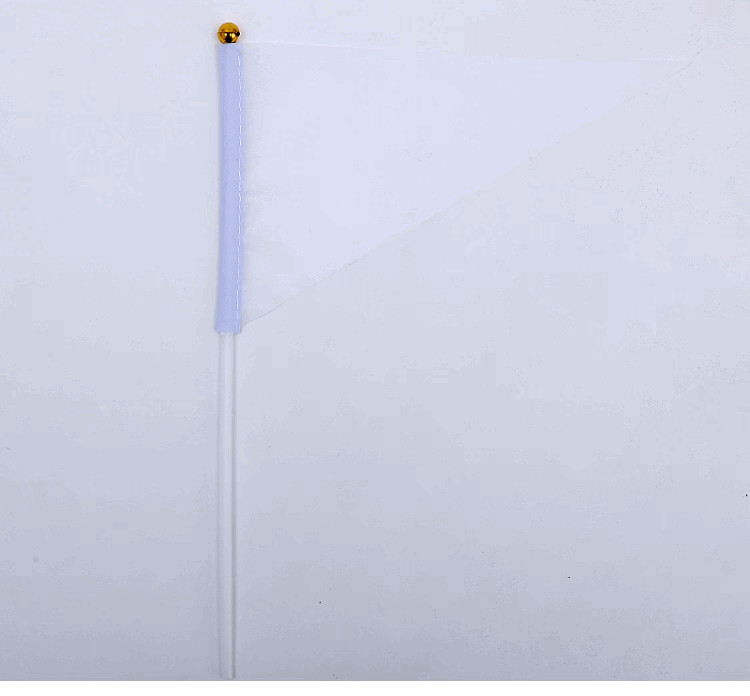 Mini Pennant Flags 5