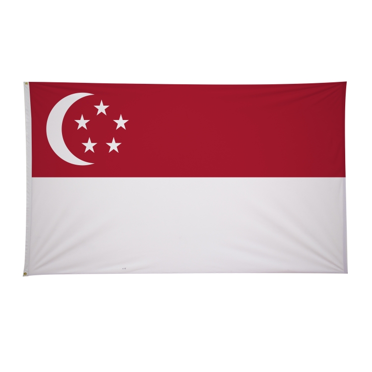 6' x 10' International Flags 150