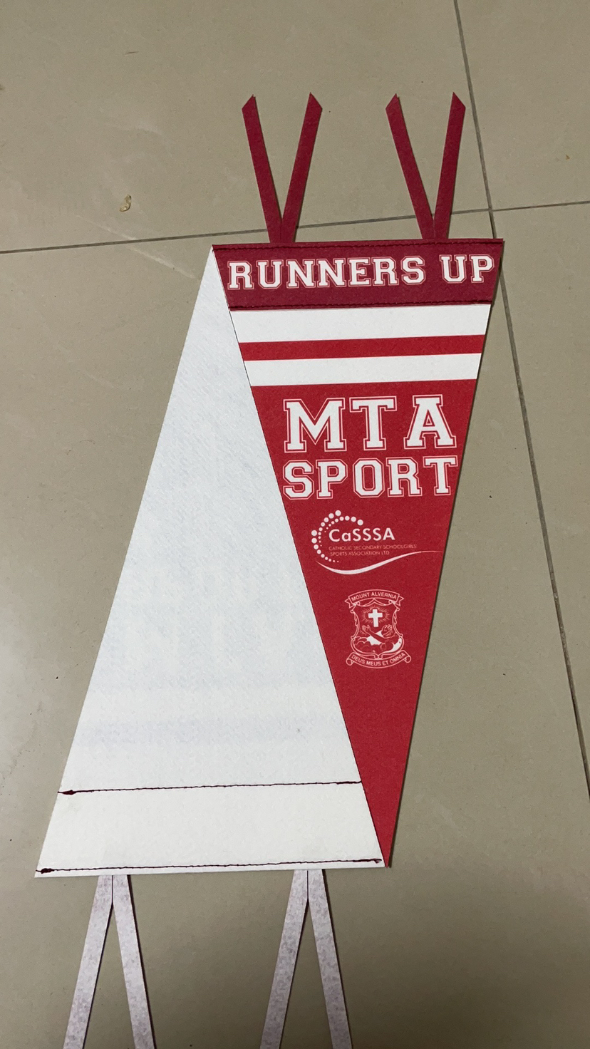 Felt Pennants 2