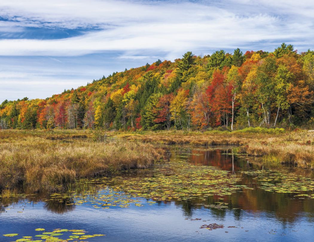 HotLine® Products New England Appointment Calendar - Spiral 61