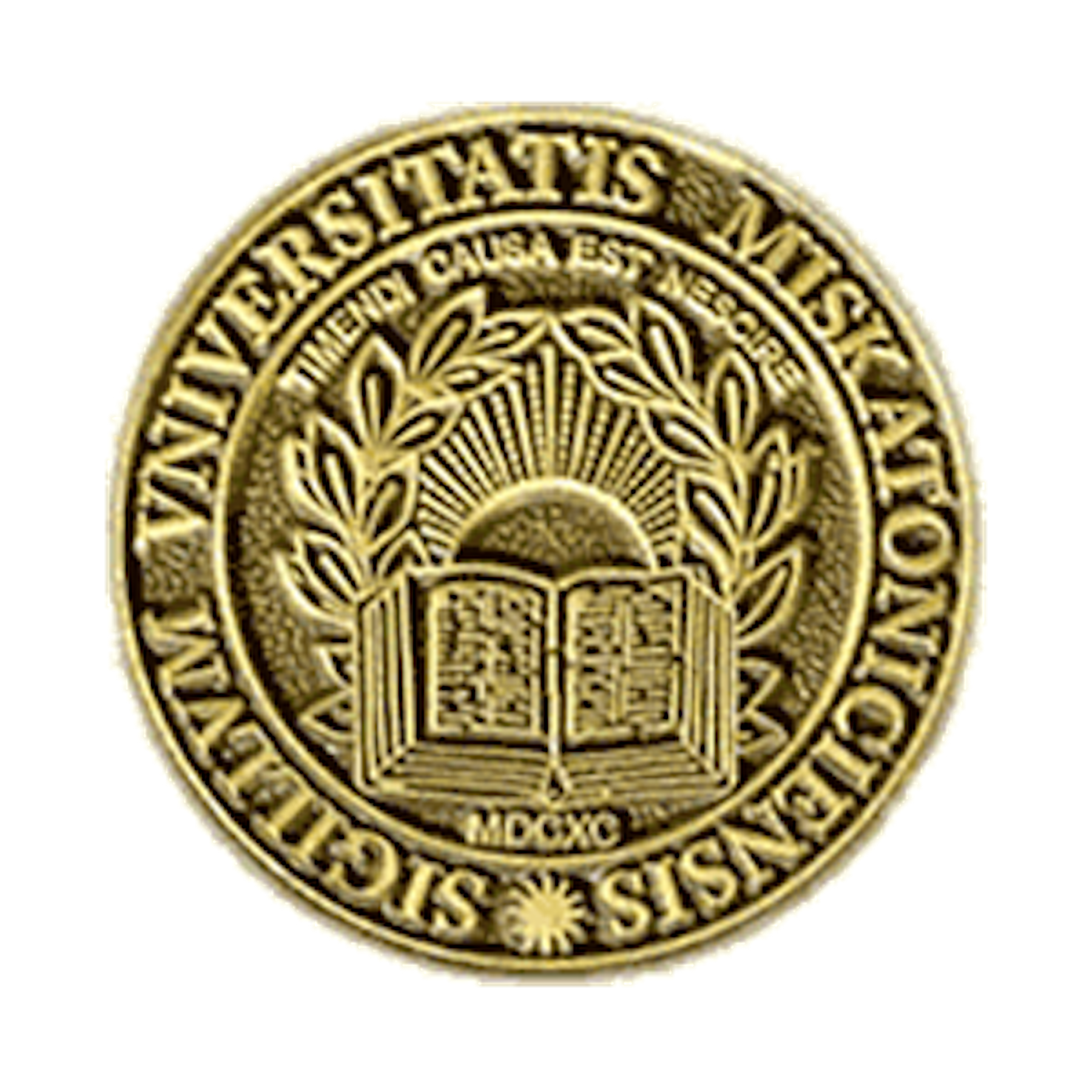 American Custom Lapel Pins 2