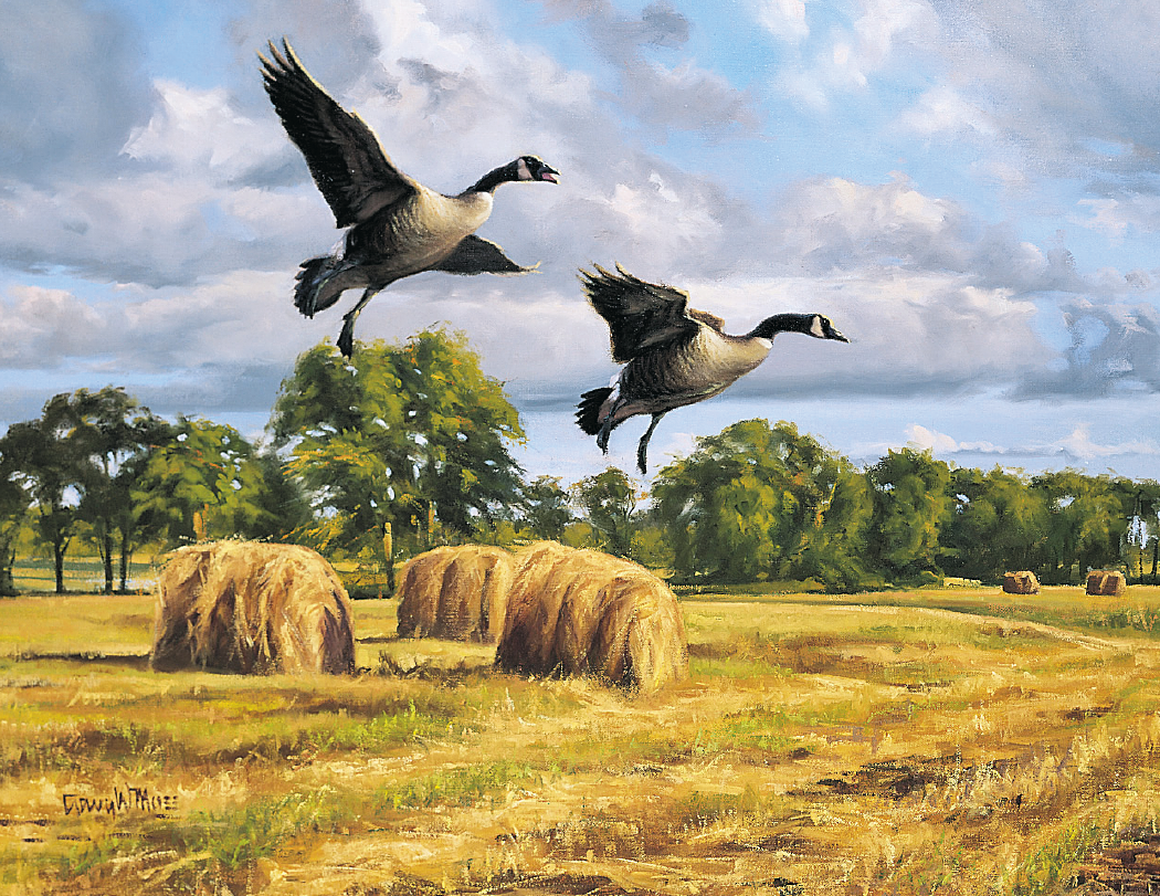 Triumph® Calendars Wildlife Art Calendar 53