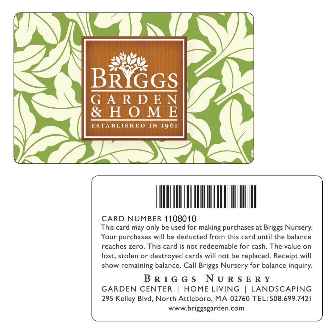 Credit, Rewards, Loyalty Card (.020mil) 1