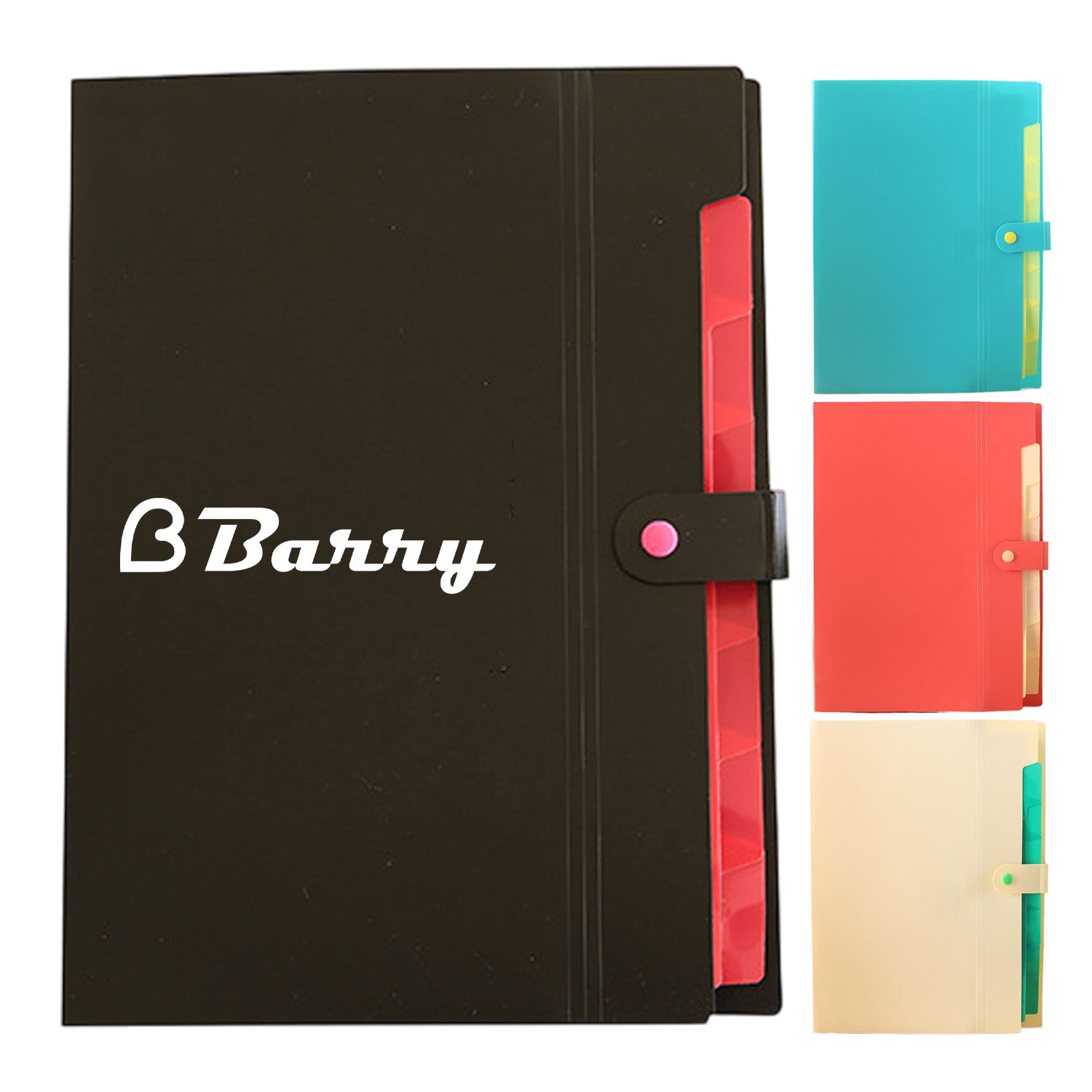 Expanding Accordion File Folders w/ Snap Closure