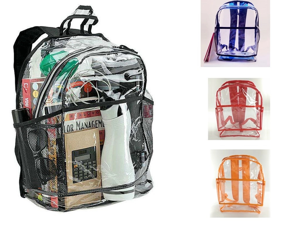 Clear Backpack 3