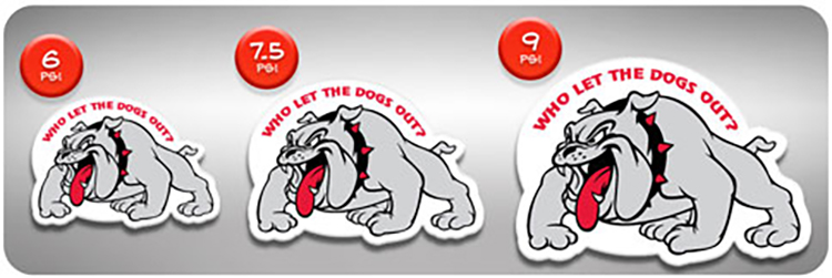 Custom Styrene Plastic Magnet (9")