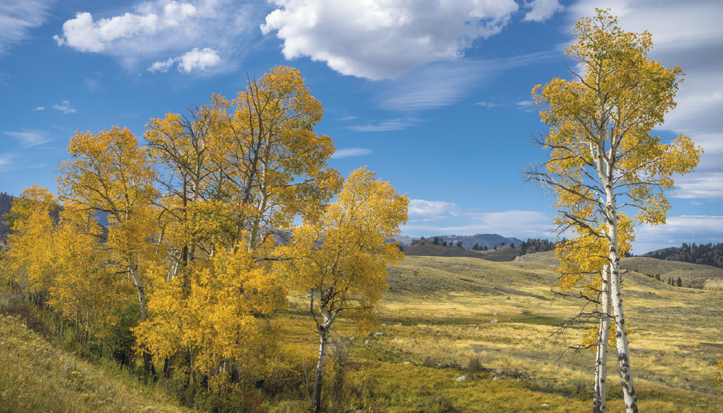 Triumph® Calendars American Splendor with Date Blocks Calendar 32