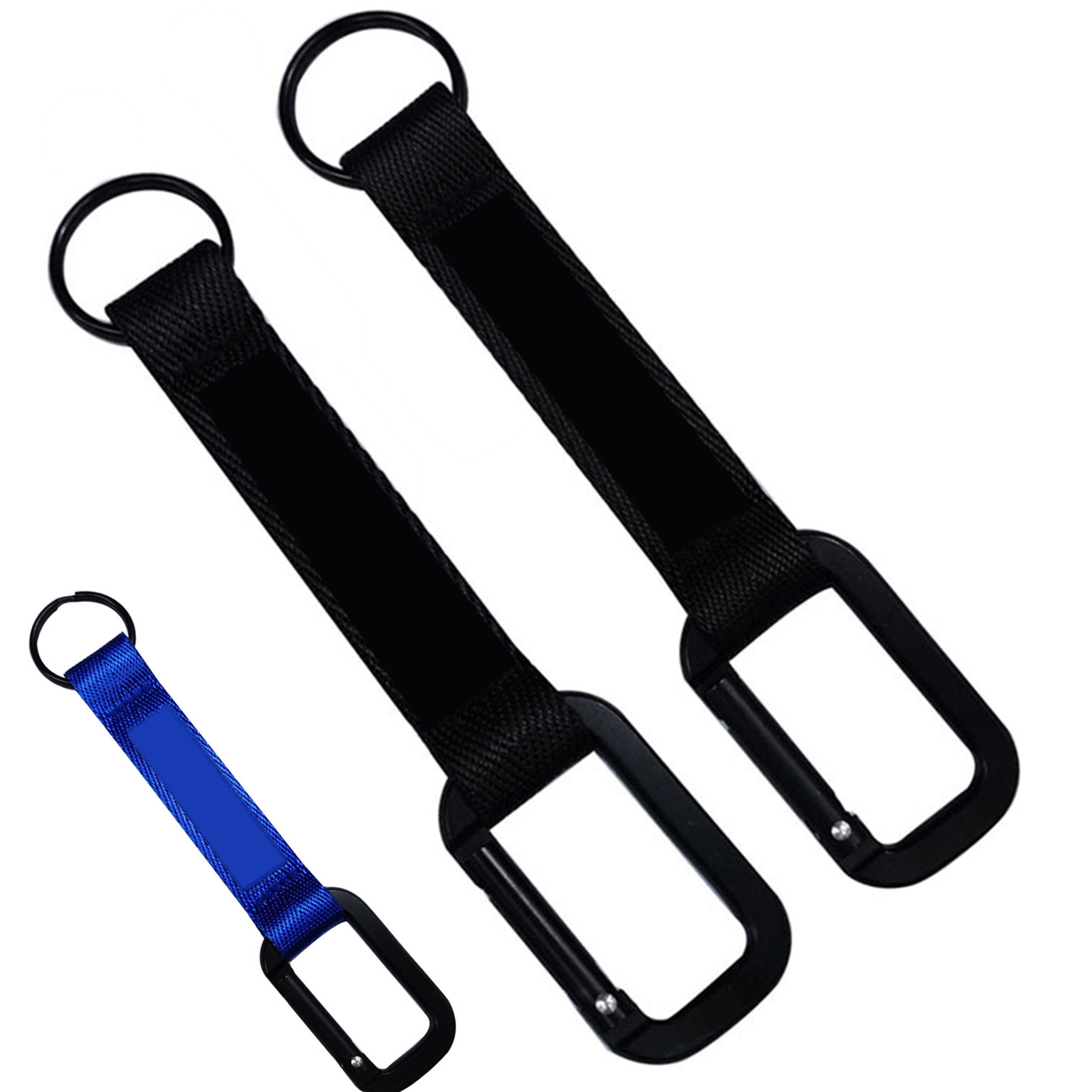 Carabiner with Web Strap Key Ring 2