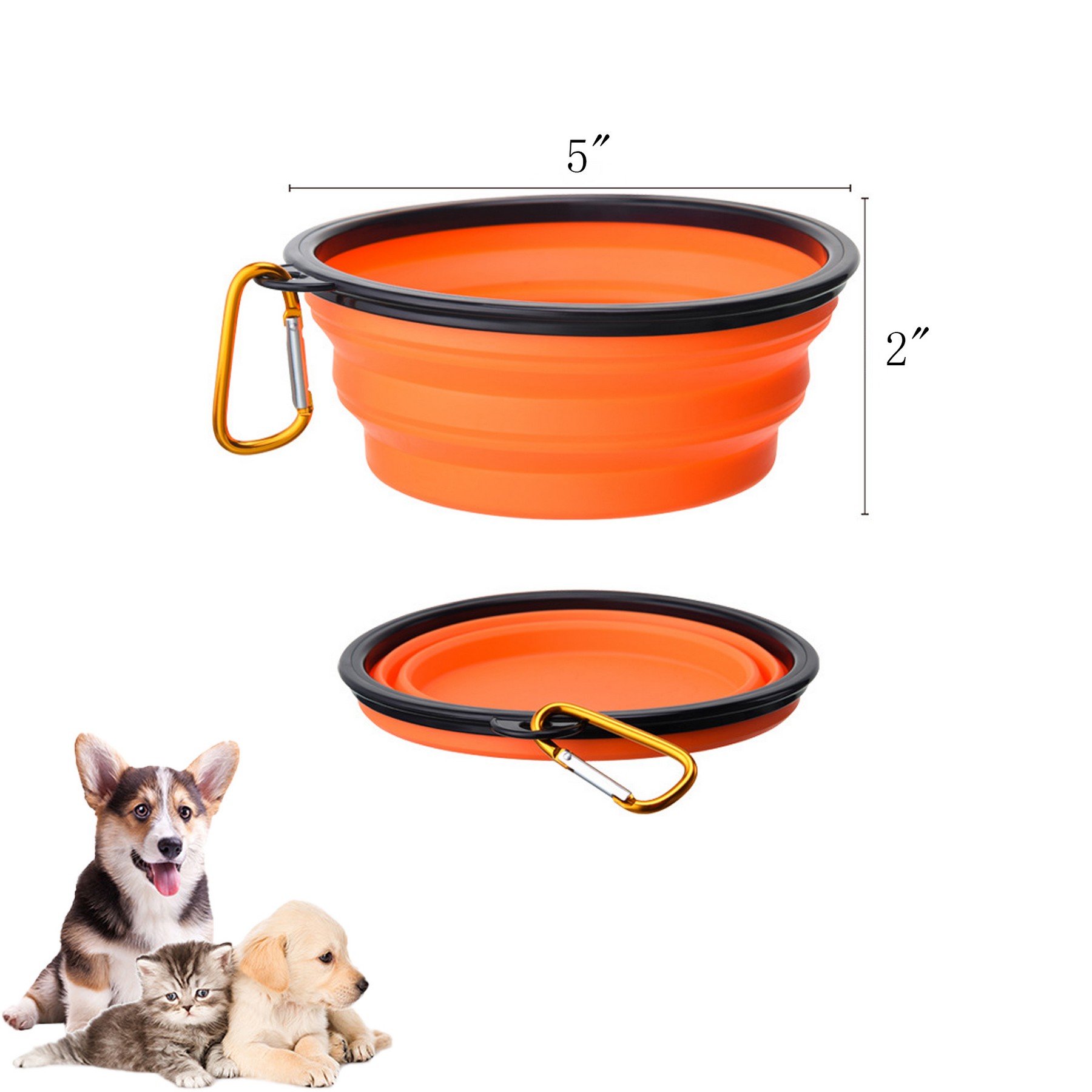 Collapsible Dog Bowl 1