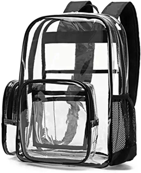 Transparent Backpack 1