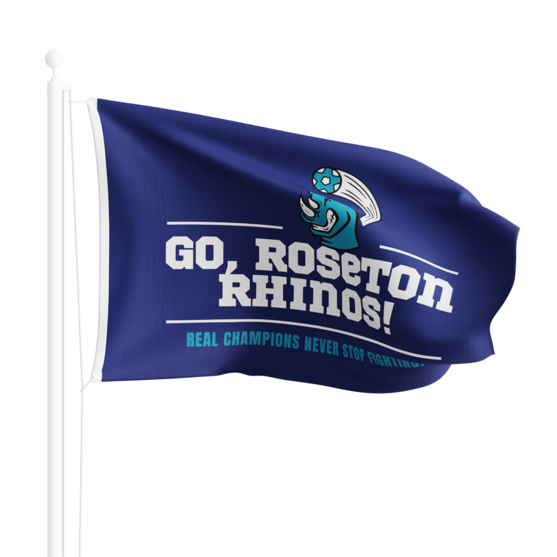 Large Flag 24" x 36" Full Color (Domestically Decorated)