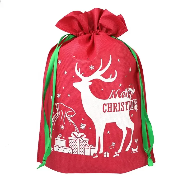 Christmas Gift Bag 15