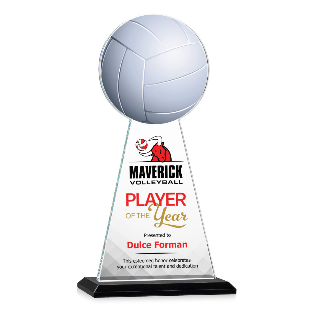 Edenwood Volleyball VividPrint™ Award - Black 8