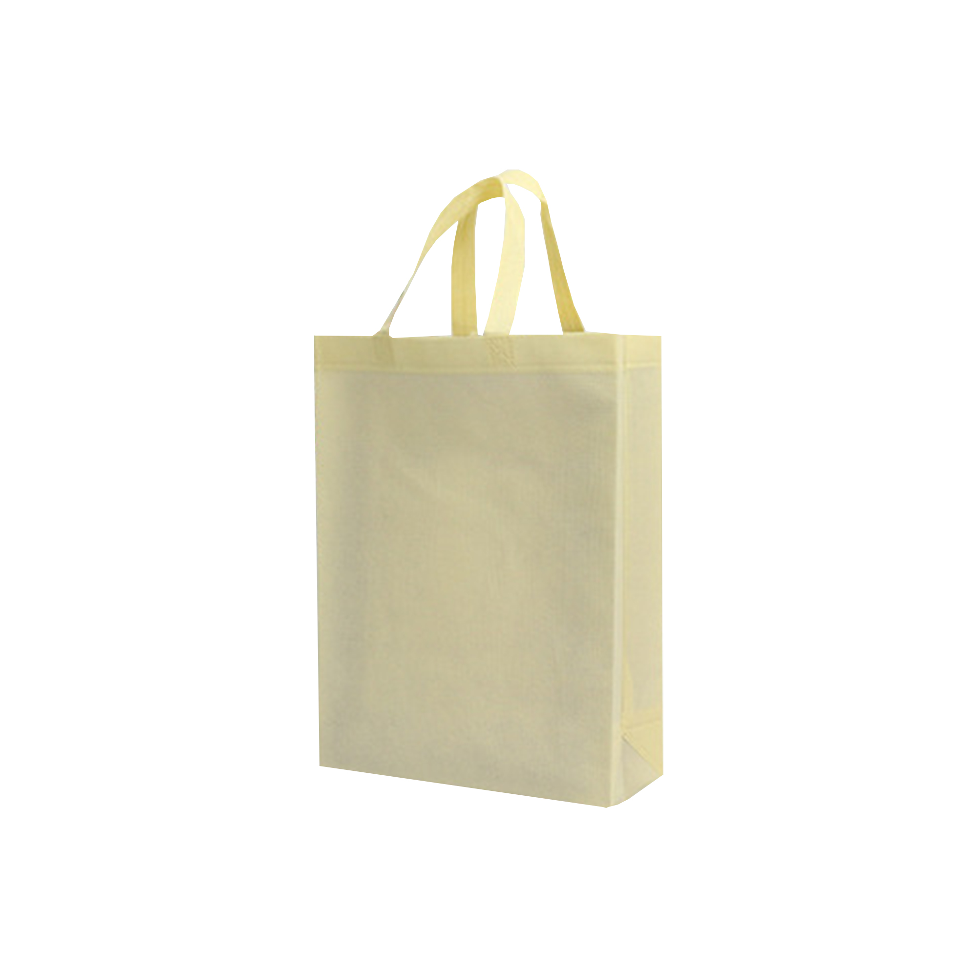 Reusable Non-Woven Fabric Shopping Bag 10