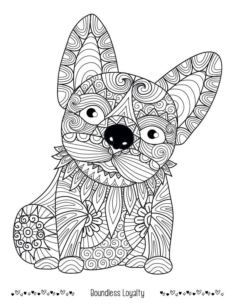 Good Value™ Unwind with Pets Adult Coloring Book 34