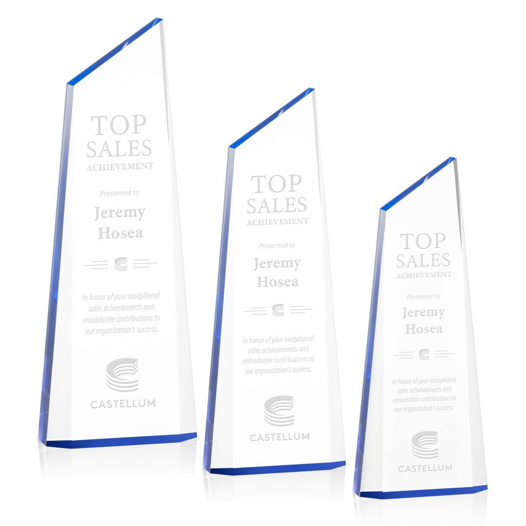 Hudson Award - Blue 6