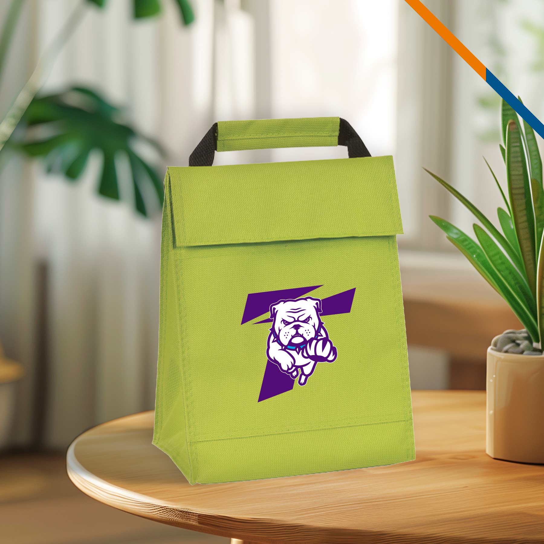 Picnics Lunch Bag 16