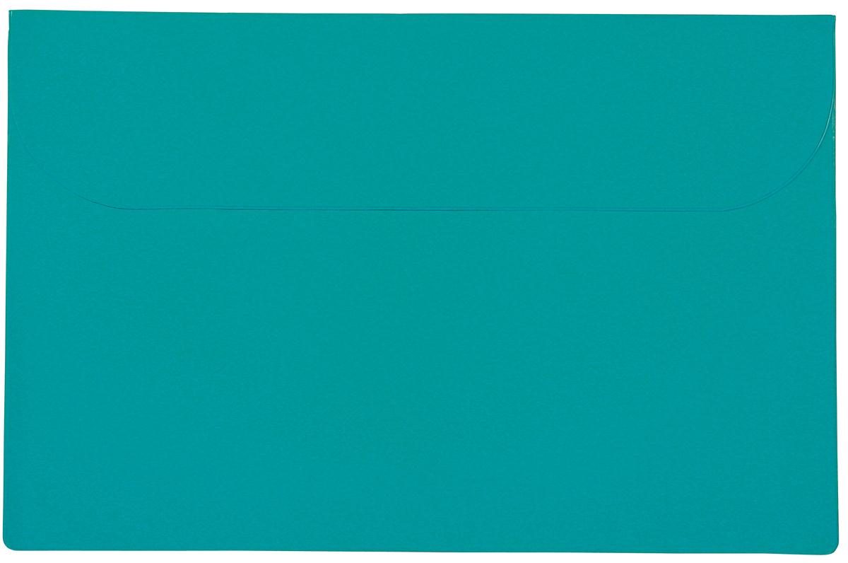 Standard Vinyl Underarm Portfolio 6