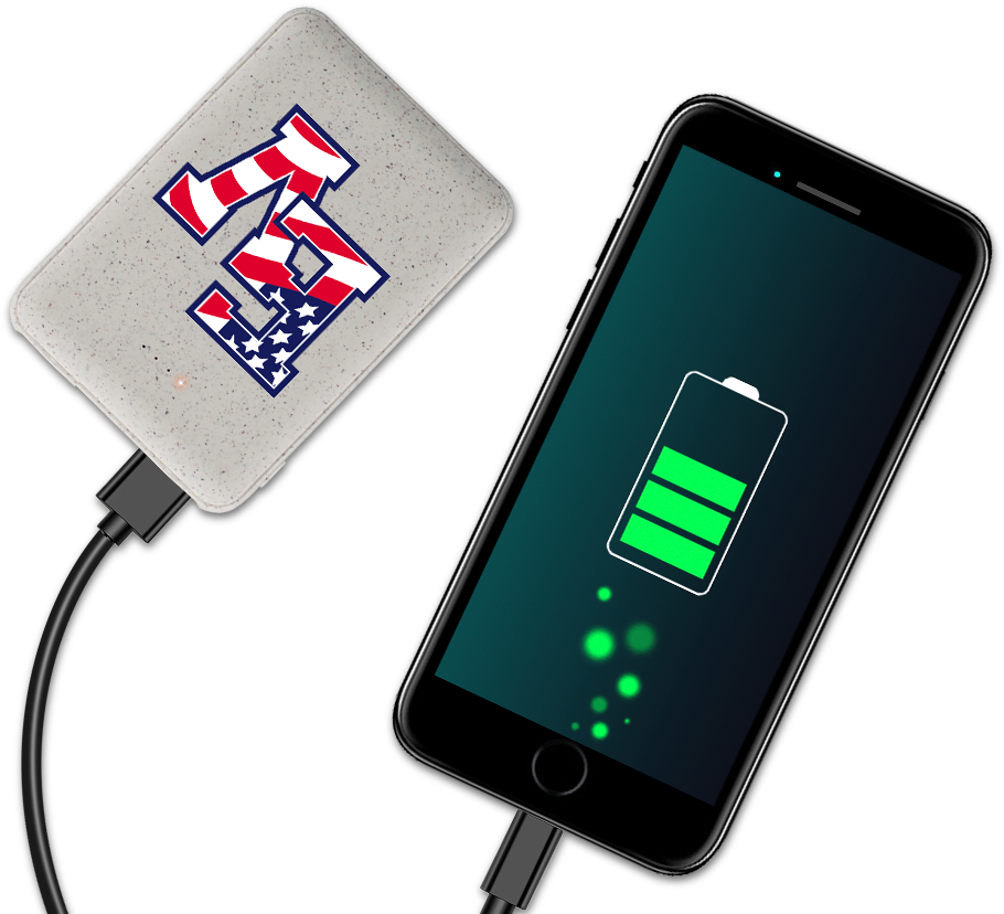 Spelt Eco-Friendly 5000mAh Power Bank 1