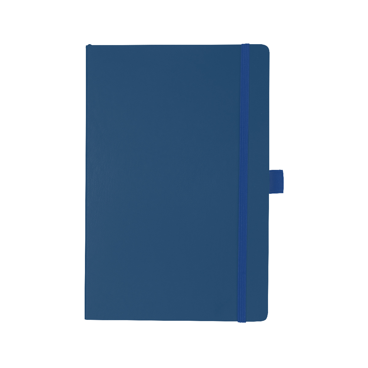 Apple Skin Journal 5
