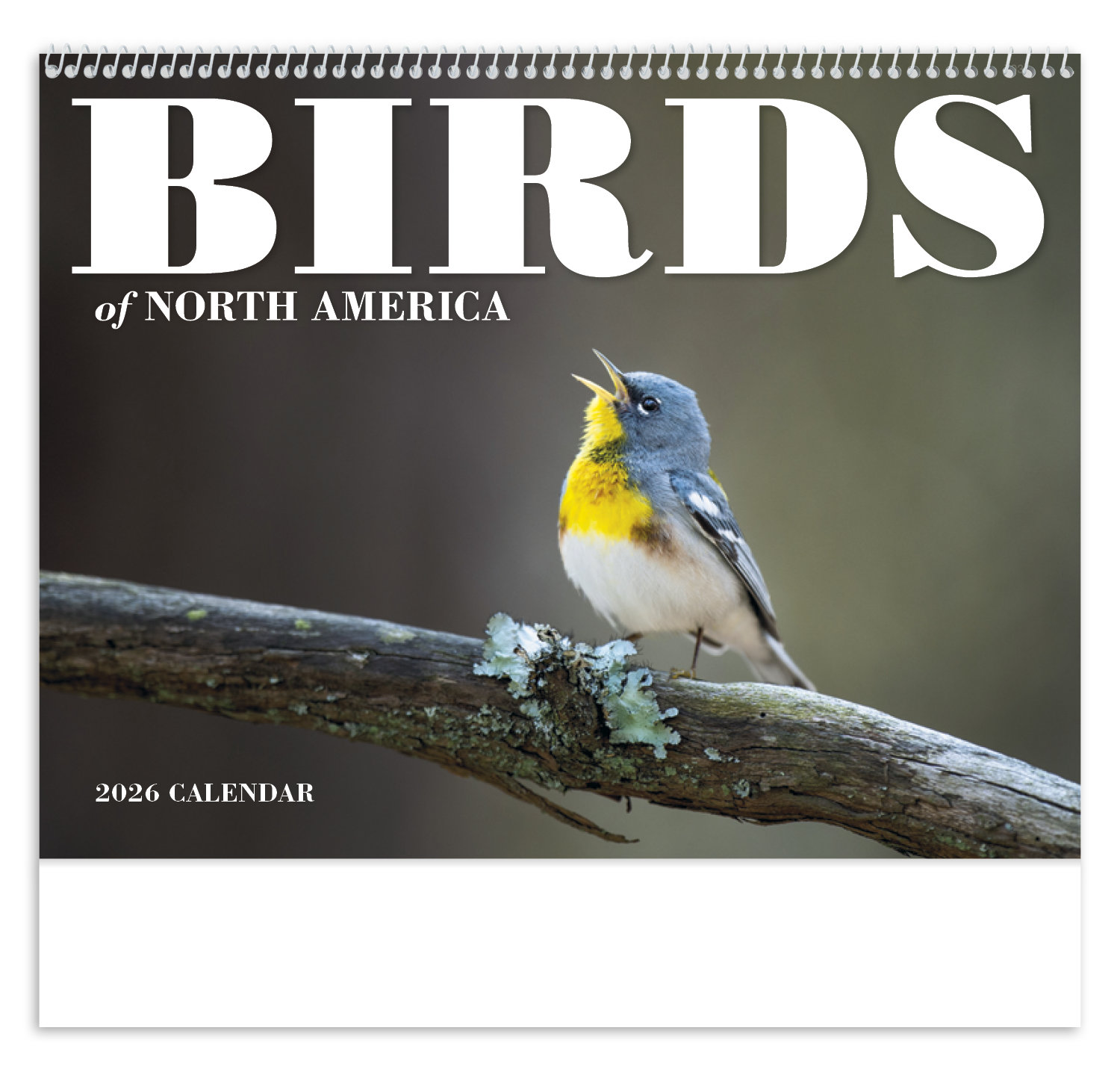 Good Value™ Birds of North America - Spiral Calendar 13