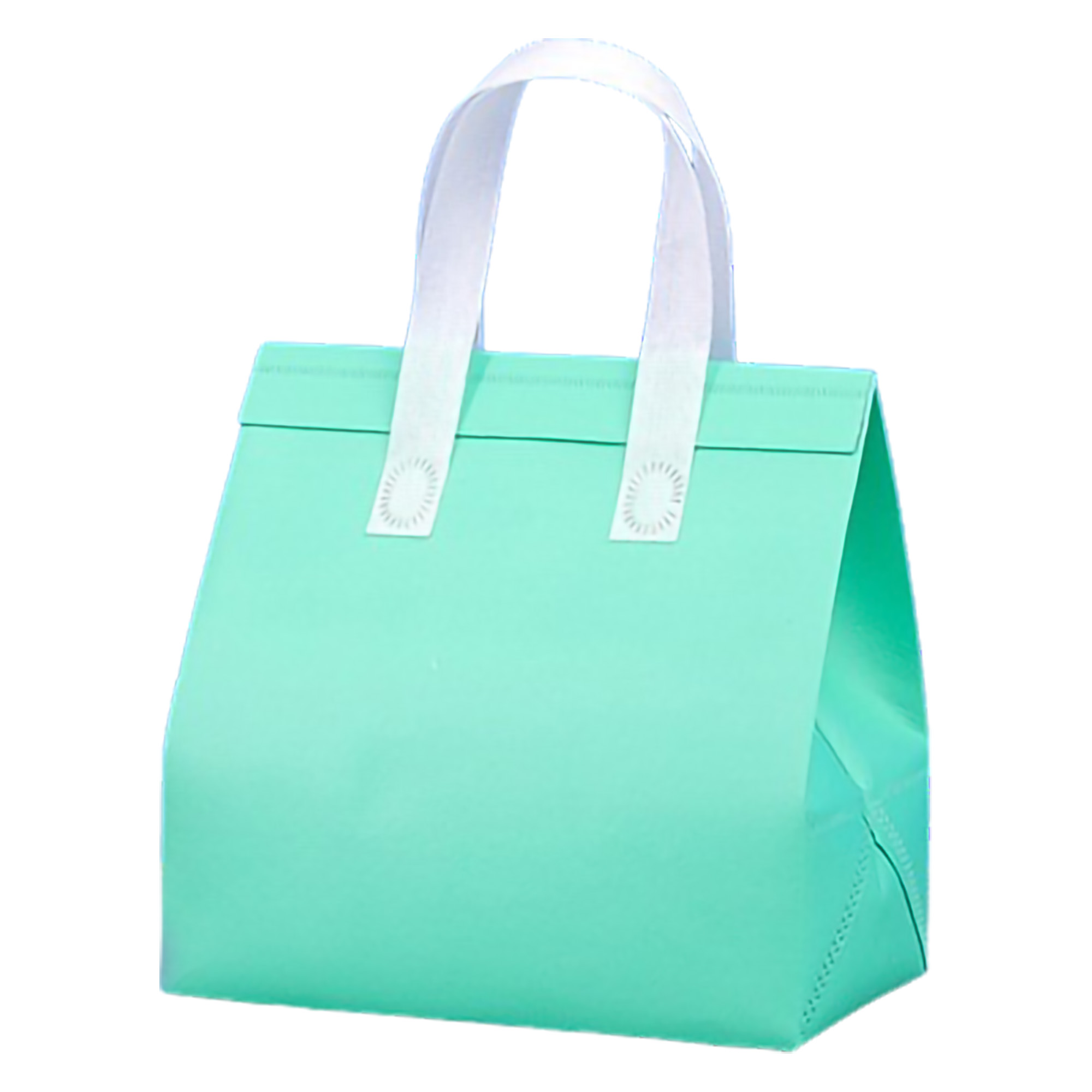 Waterproof Cooler Insulated Tote Bag MOQ50 5