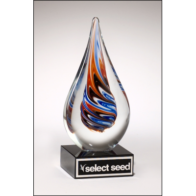 Teardrop-Shaped Art Glass Award 2