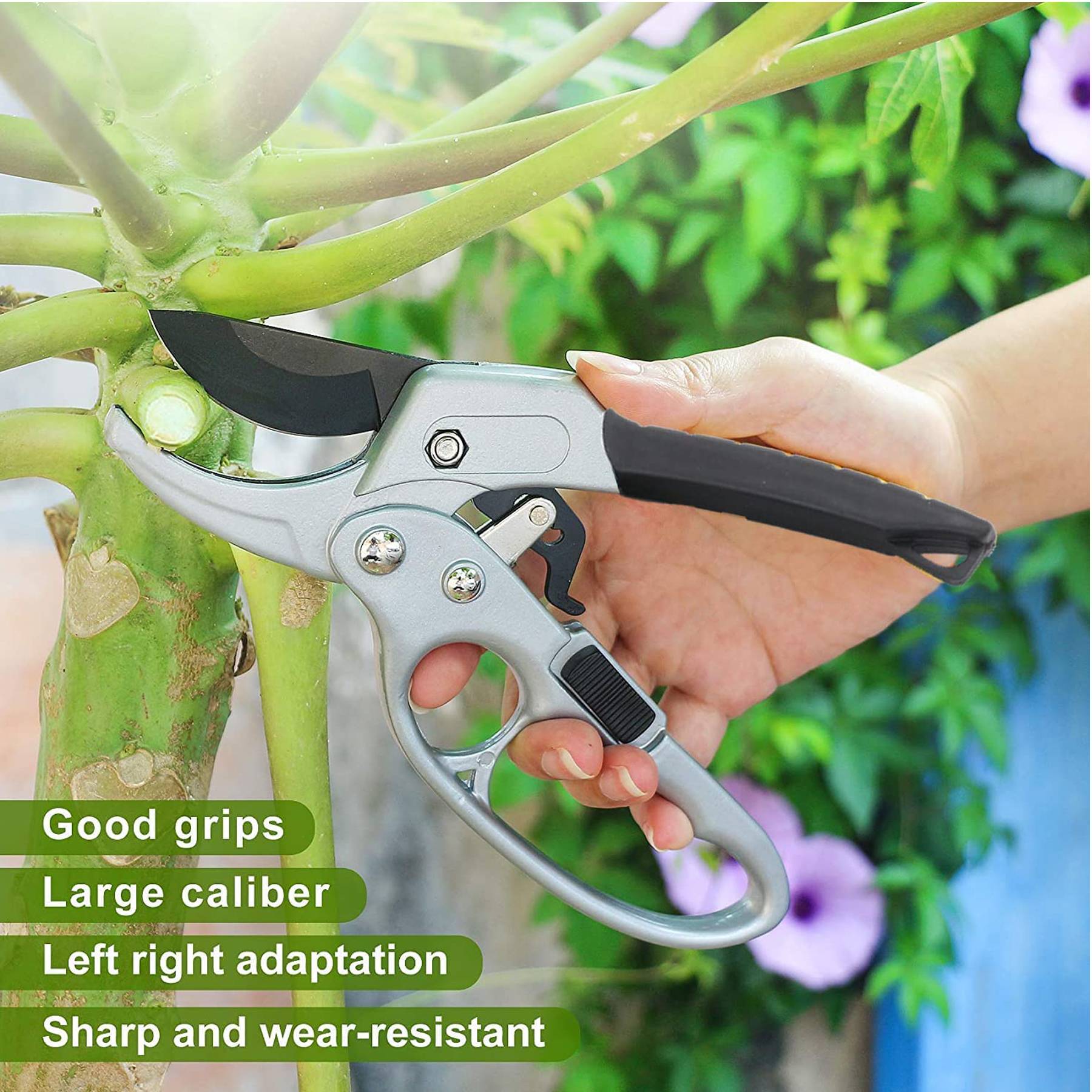 Pruning Shears for Garden 7