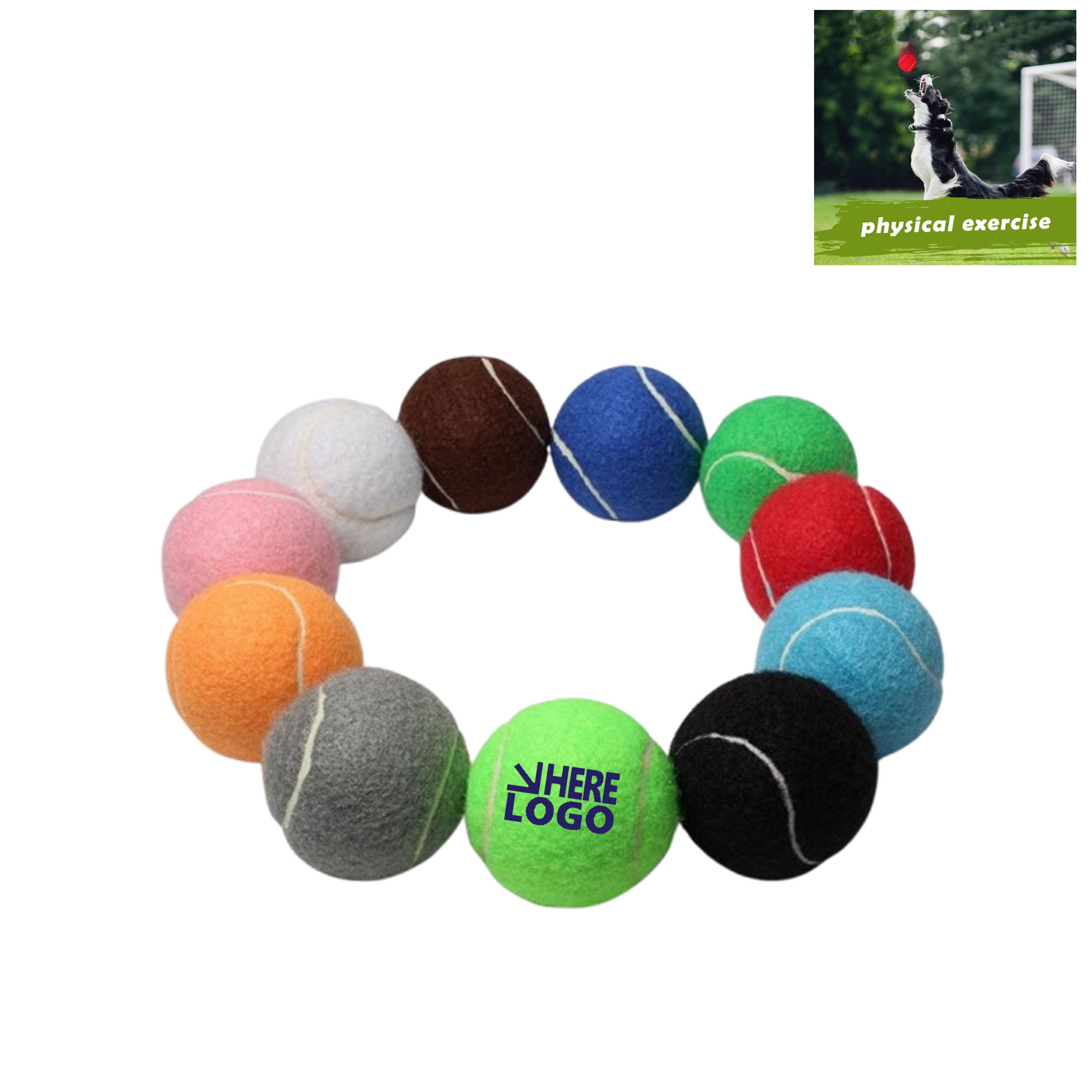 Customizable Training Balls For Puppy Dogs Playing 2