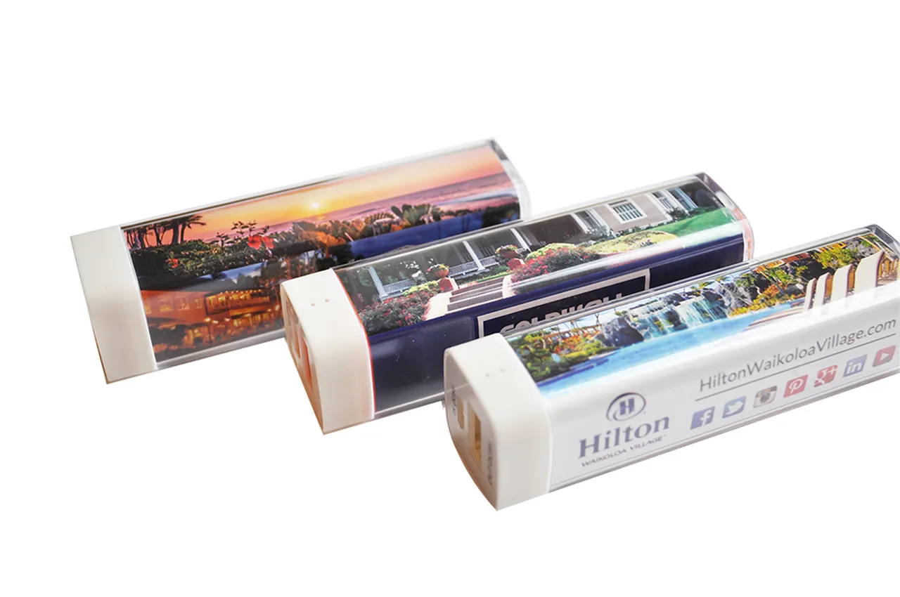 Acrylic/Plastic 18650 LiIon Battery Power Bank 4