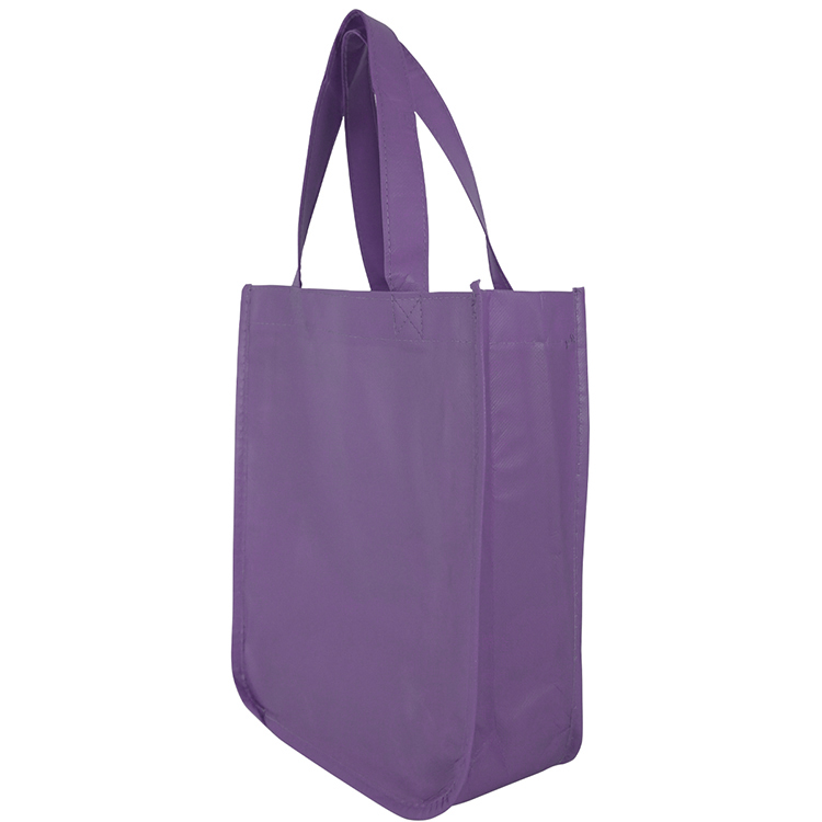 Sundale Small Matte Laminated Tote Bag 14