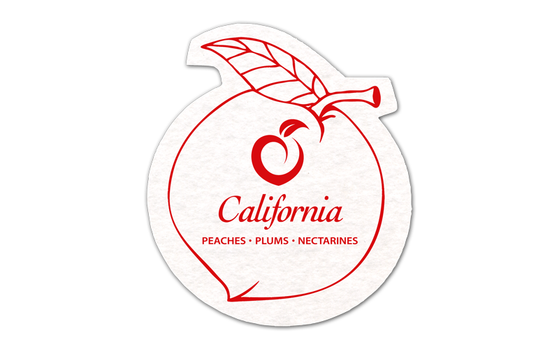 Peach Shammy Coaster 2