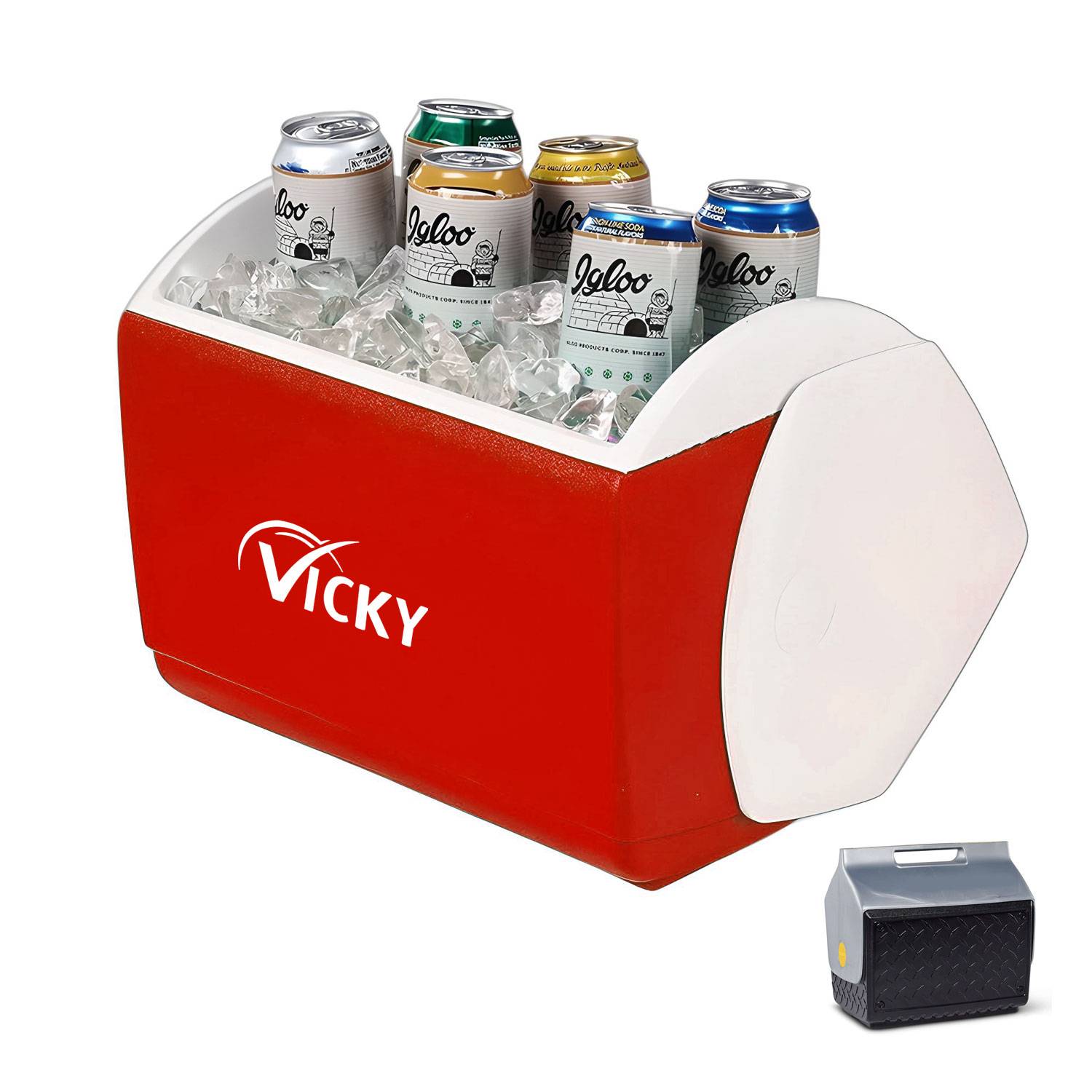 Custom Insulated Portable Cooler 5