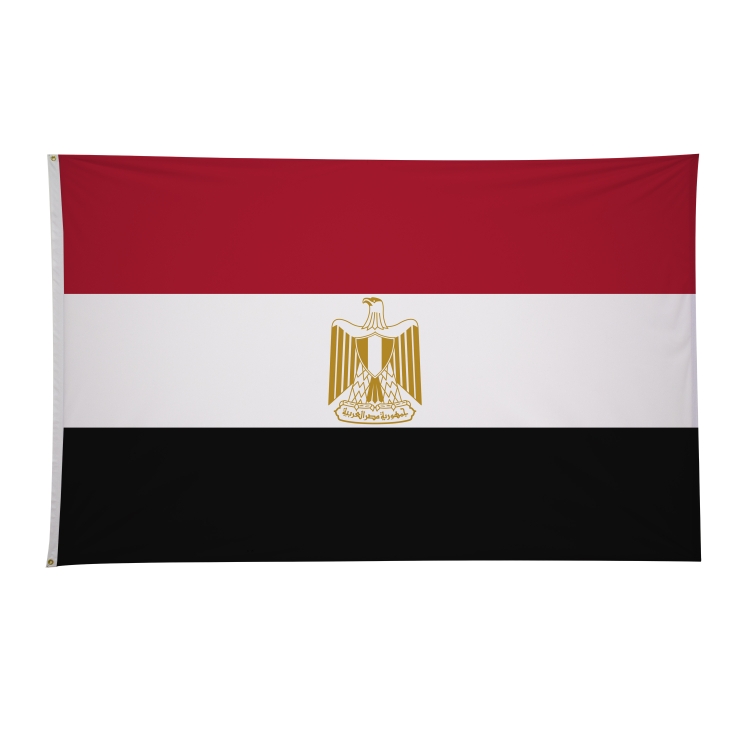 5' x 8' International Flags 2