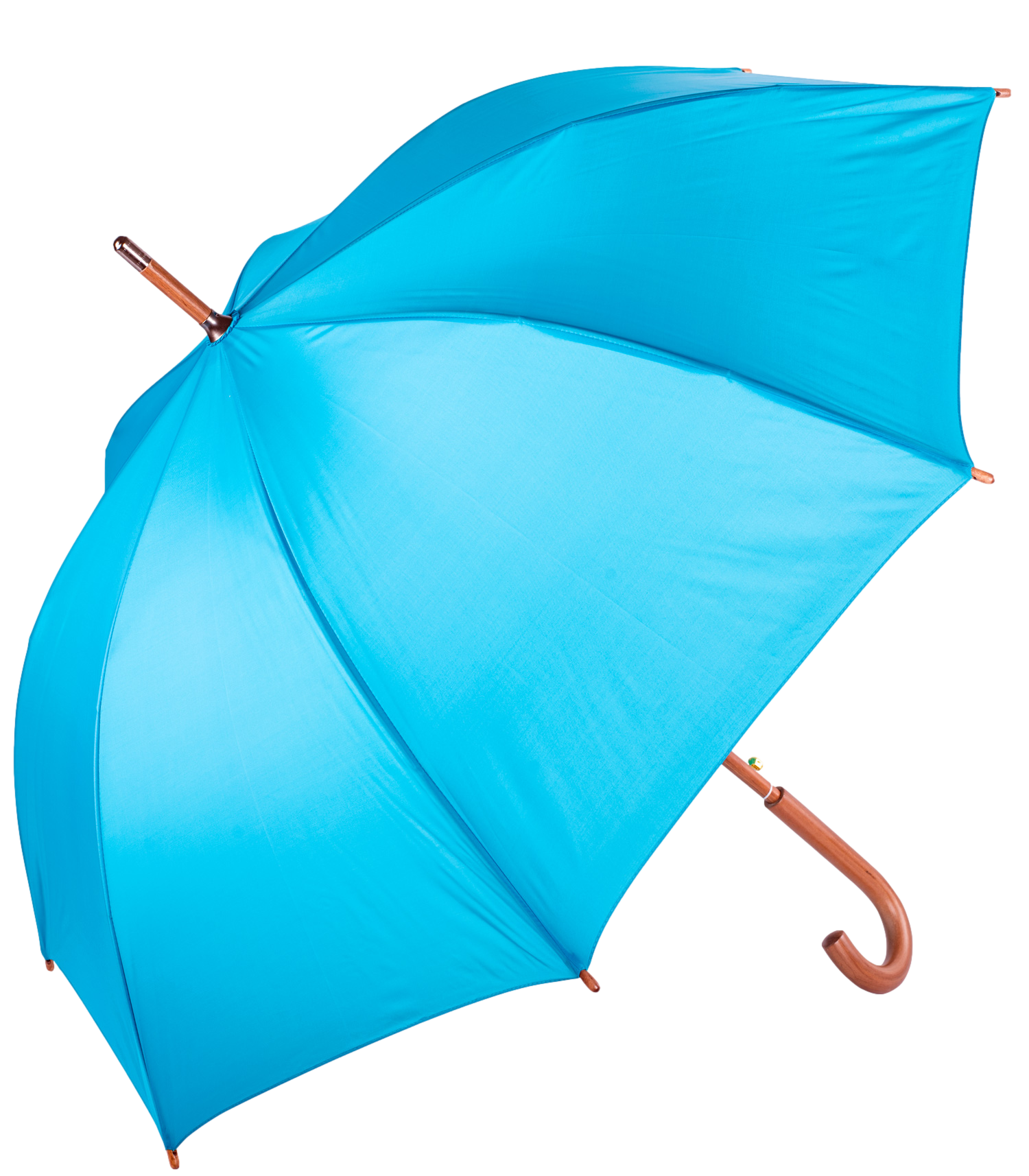 The Hotel Umbrella 8