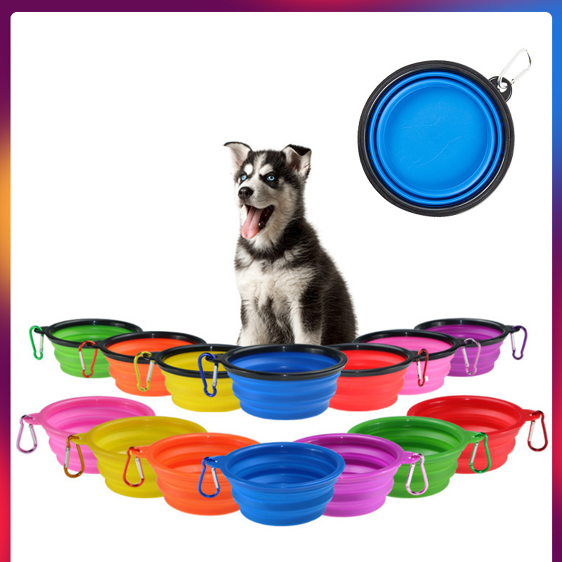 Pet Large Siza Collapsible Bowl 2